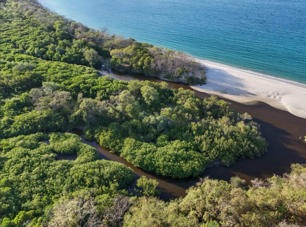 Costa Rica lidera el futuro de la conservación: Reserva Conchal conecta naturaleza y desarrollo sostenible